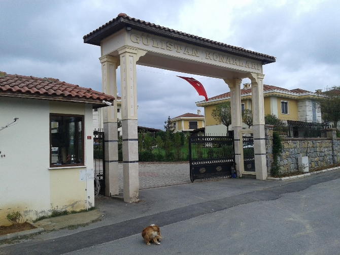 Deniz Seki'nin yeri bulundu! Deniz Seki'nin yeri bulundu!