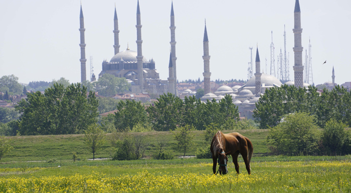 Vali o çobanın maaşını açıkladı, 'Benim müdürüm o kadar almıyor' Vali o çobanın maaşını açıkladı, 'Benim müdürüm o kadar almıyor'