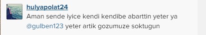Gülben Ergen: 'Beyonce koyunca olur biz koysak linç'