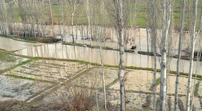 Pirinç ile ilgili korkutan gelişme Pirinç ile ilgili korkutan gelişme