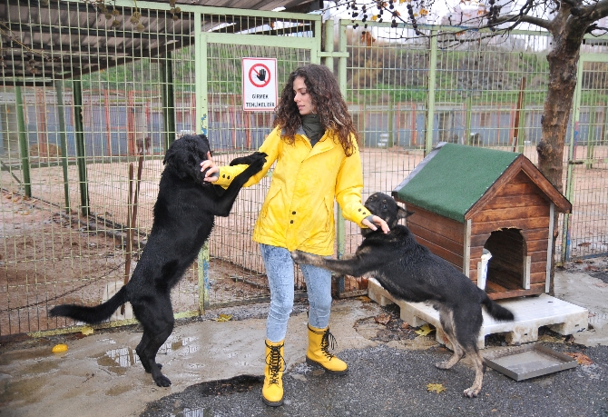 Özge Pirinçci'den o yasağa destek