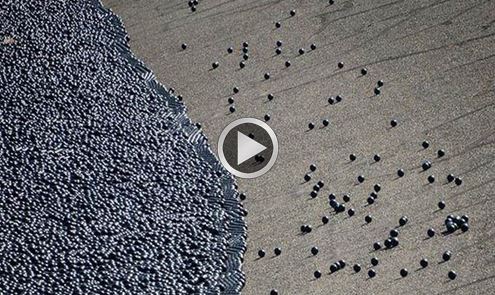 Susuzluğa karşı bakın nasıl çözüm buldular