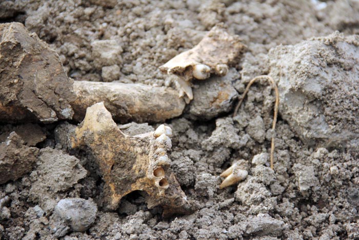 Doğalgaz çalışmasında ortaya çıkan insan kemilleri şaşkına çevirdi Doğalgaz çalışmasında ortaya çıkan insan kemilleri şaşkına çevirdi