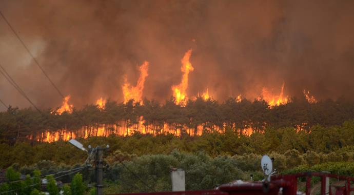 Bursa'da büyük orman yangını (BURSA YANGIN)