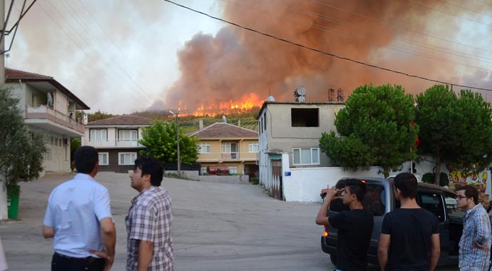 Bursa'da büyük orman yangını (BURSA YANGIN)