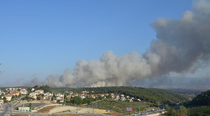 Bursa'da büyük orman yangını (BURSA YANGIN)