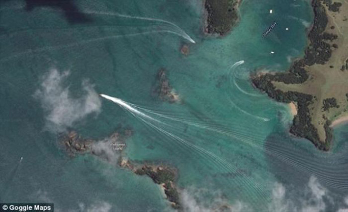 Gizemli canlı korkuttu Gizemli canlı korkuttu