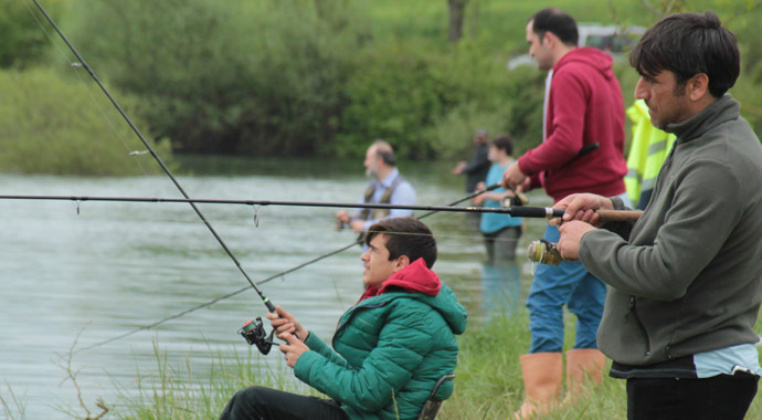 Oltayla tava arasında