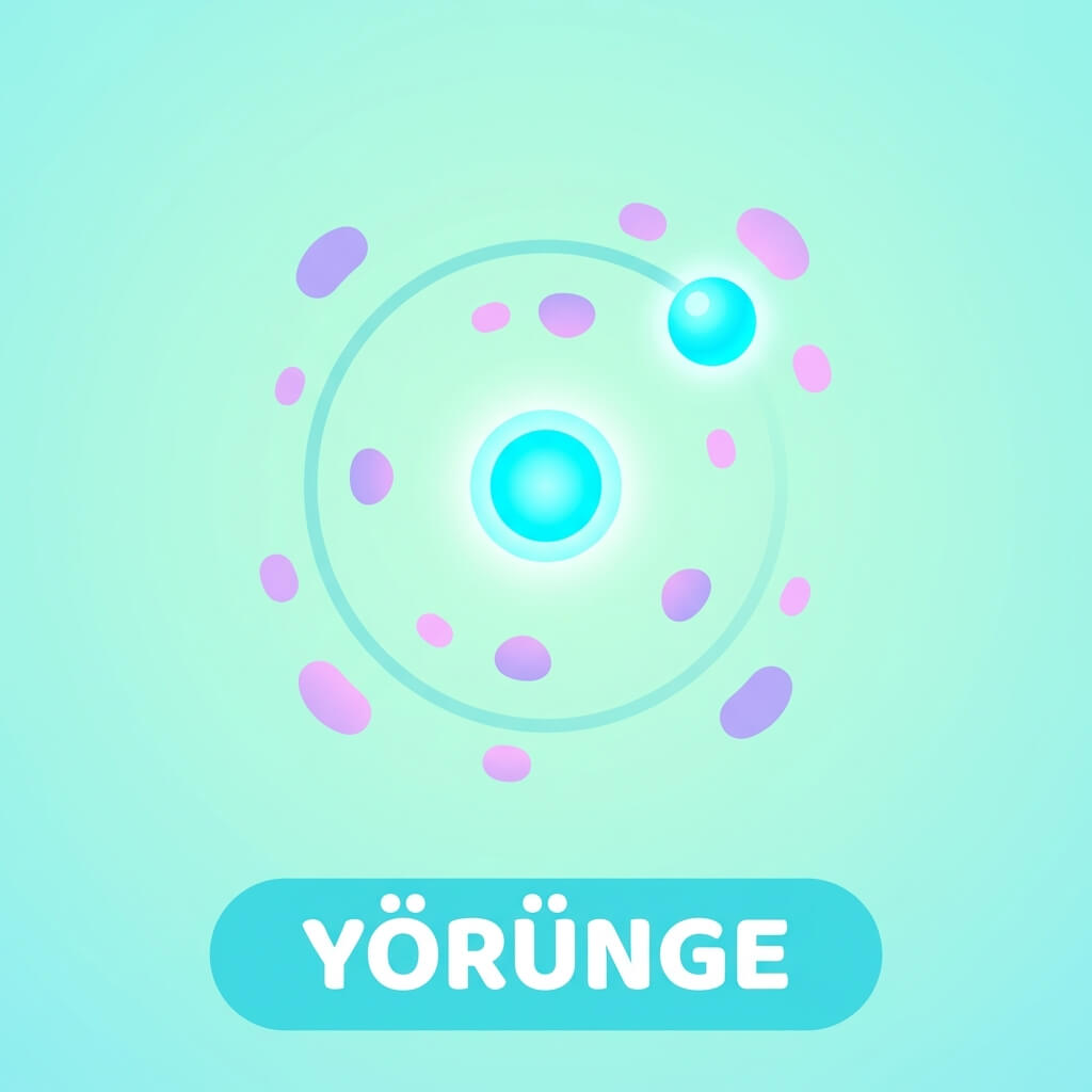 Yörünge Oyunu